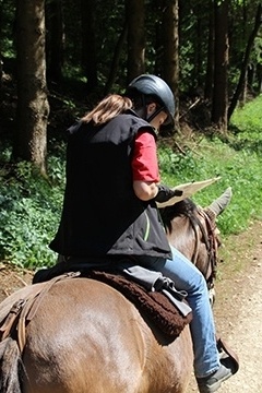 Lehrwanderritt
