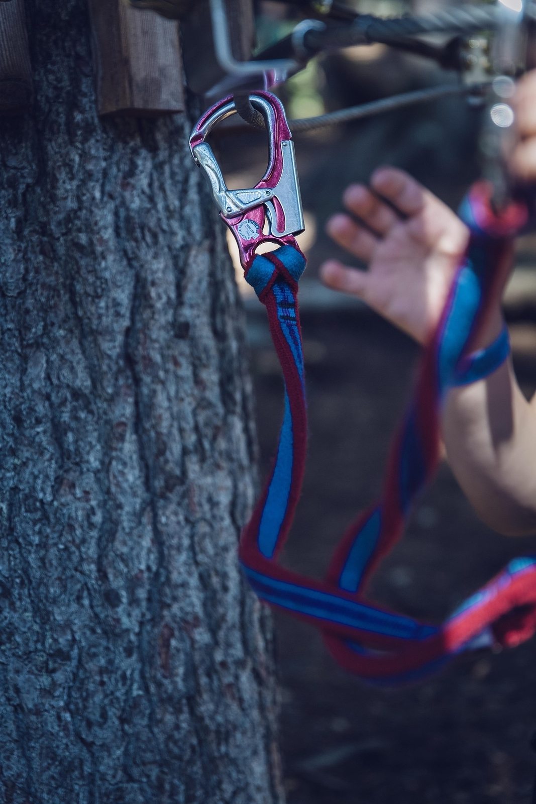 Climbing adventure in the Königstein climbing forest