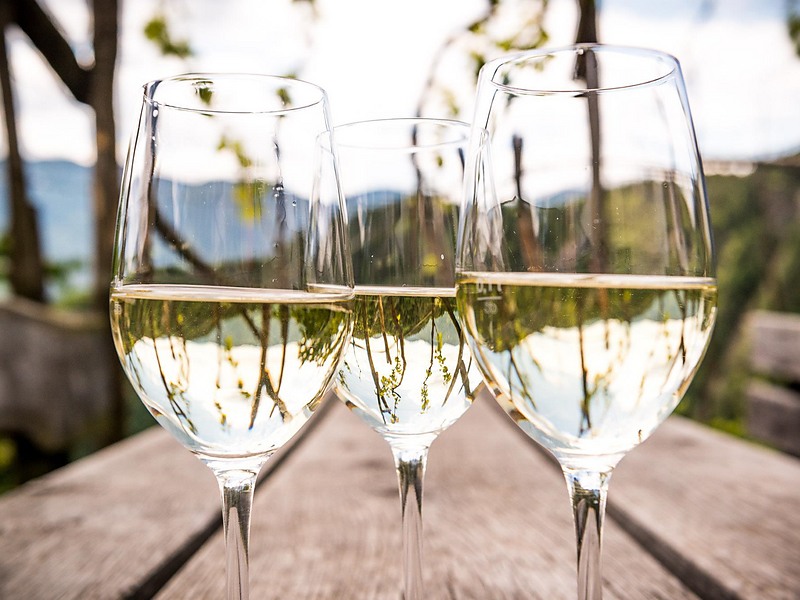 Guided tour & wine tasting - Perlhof