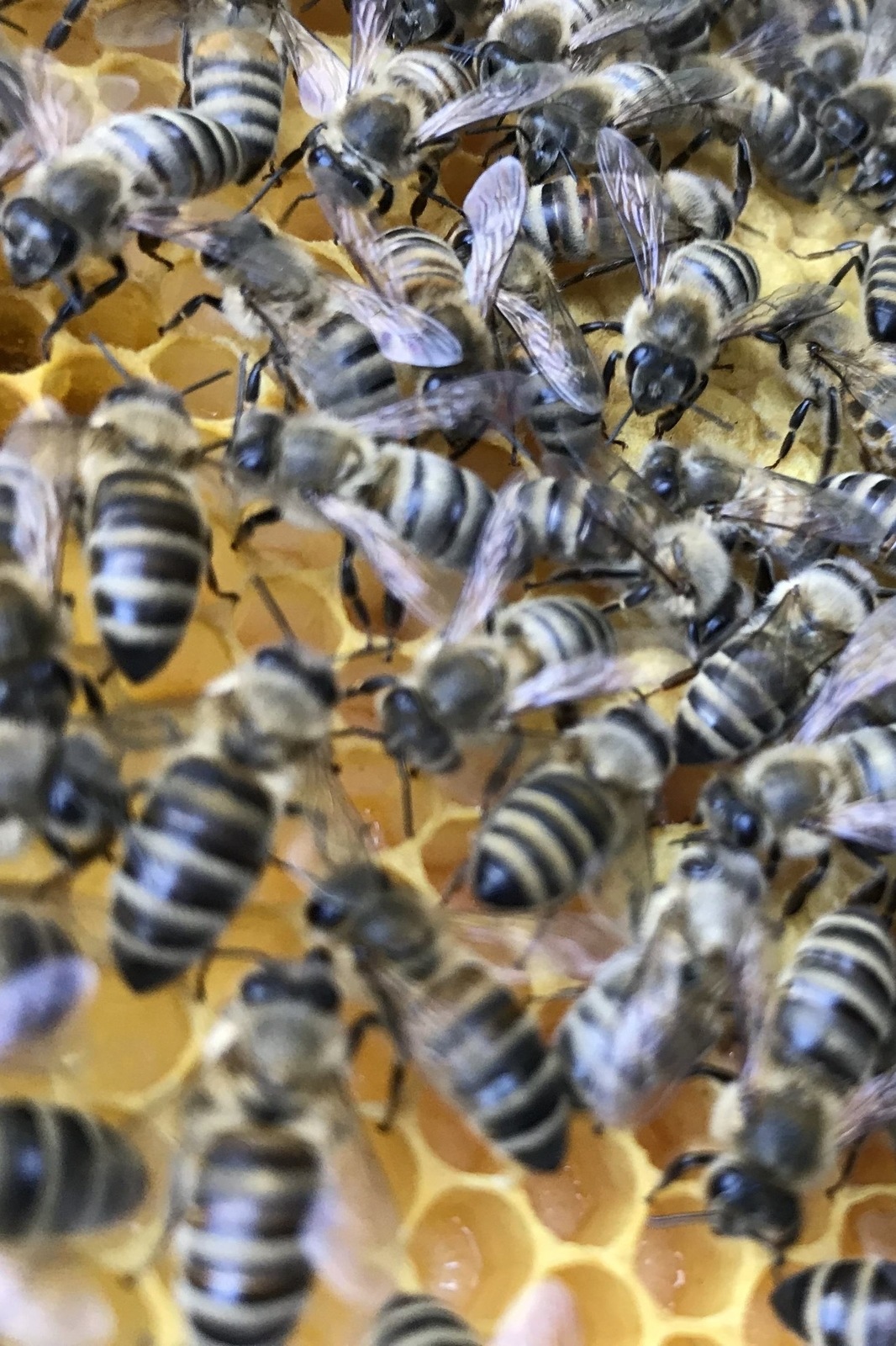 Slide 2