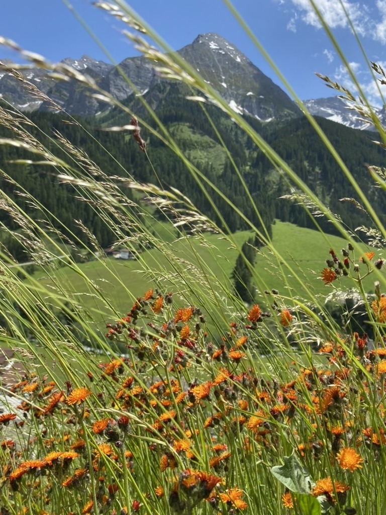 Grüblspitze /Stoankasern