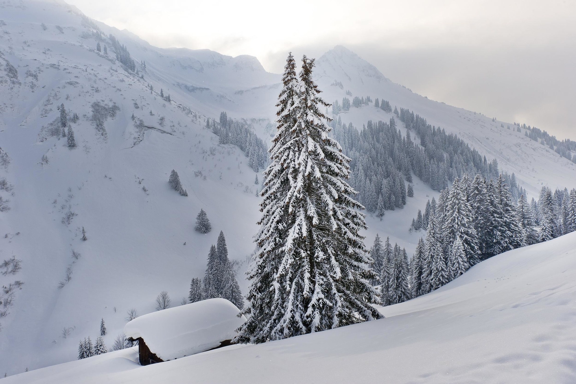 Wichtelwanderung