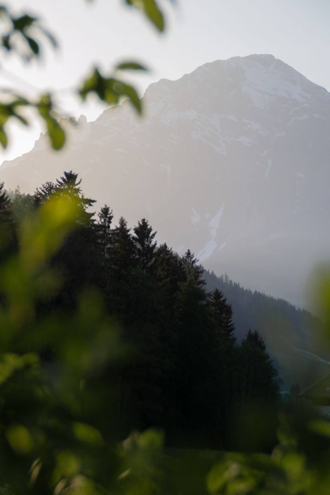 Nature and climate in transition*