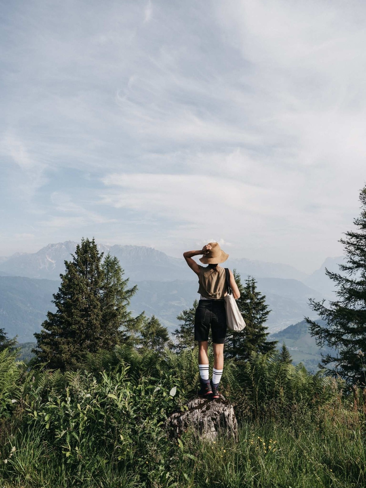 Geführte Wanderung - mittel image