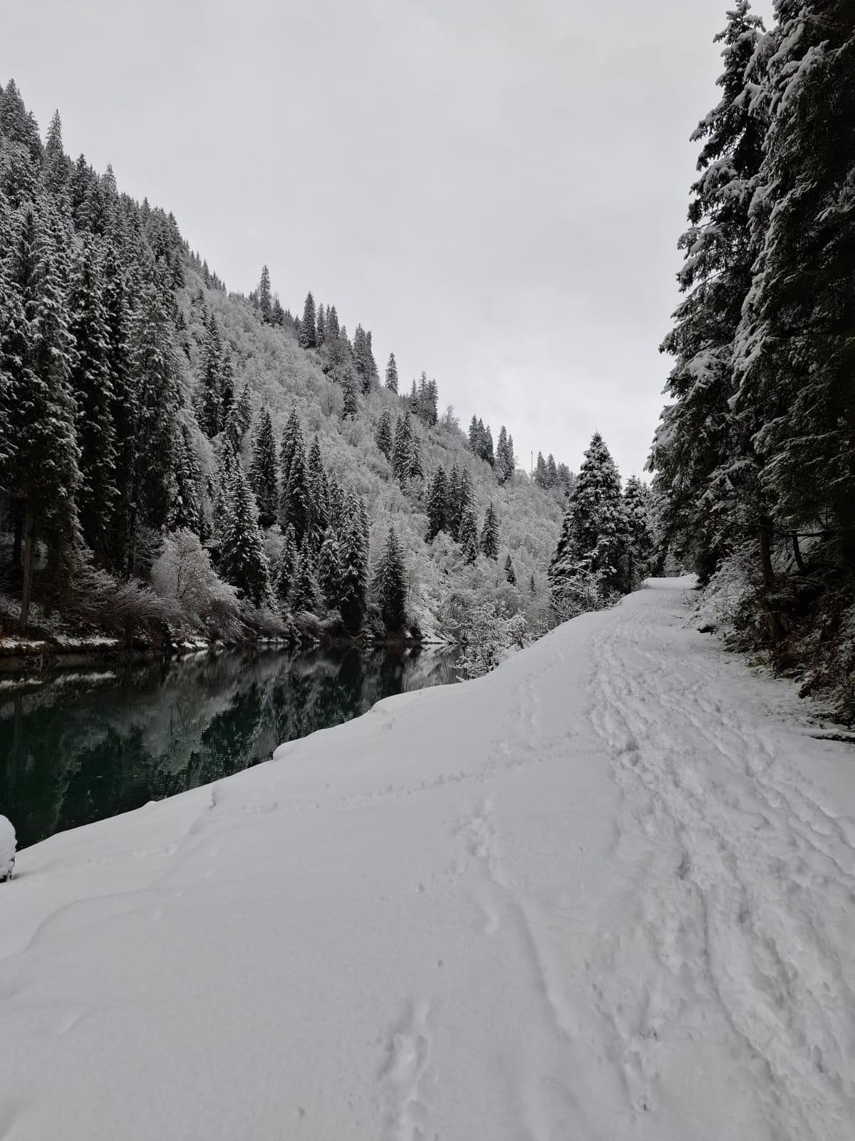 Geführte Schneeschuhwanderung ins Hollersbachtal