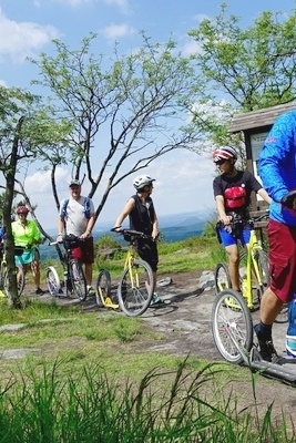 Downhill-Roller-Fahrt Schneeberg