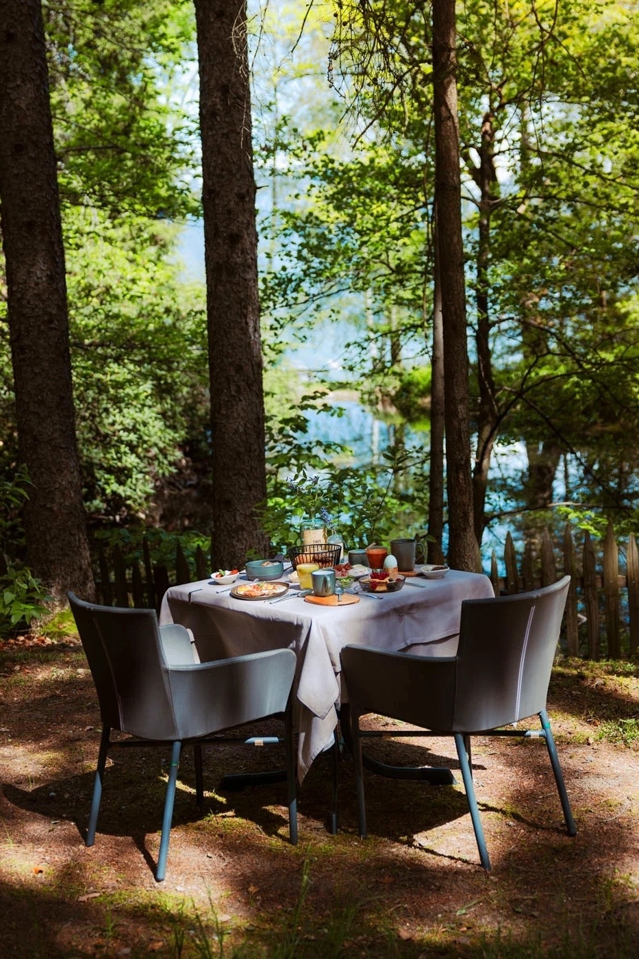 Private forest breakfast in the forest park