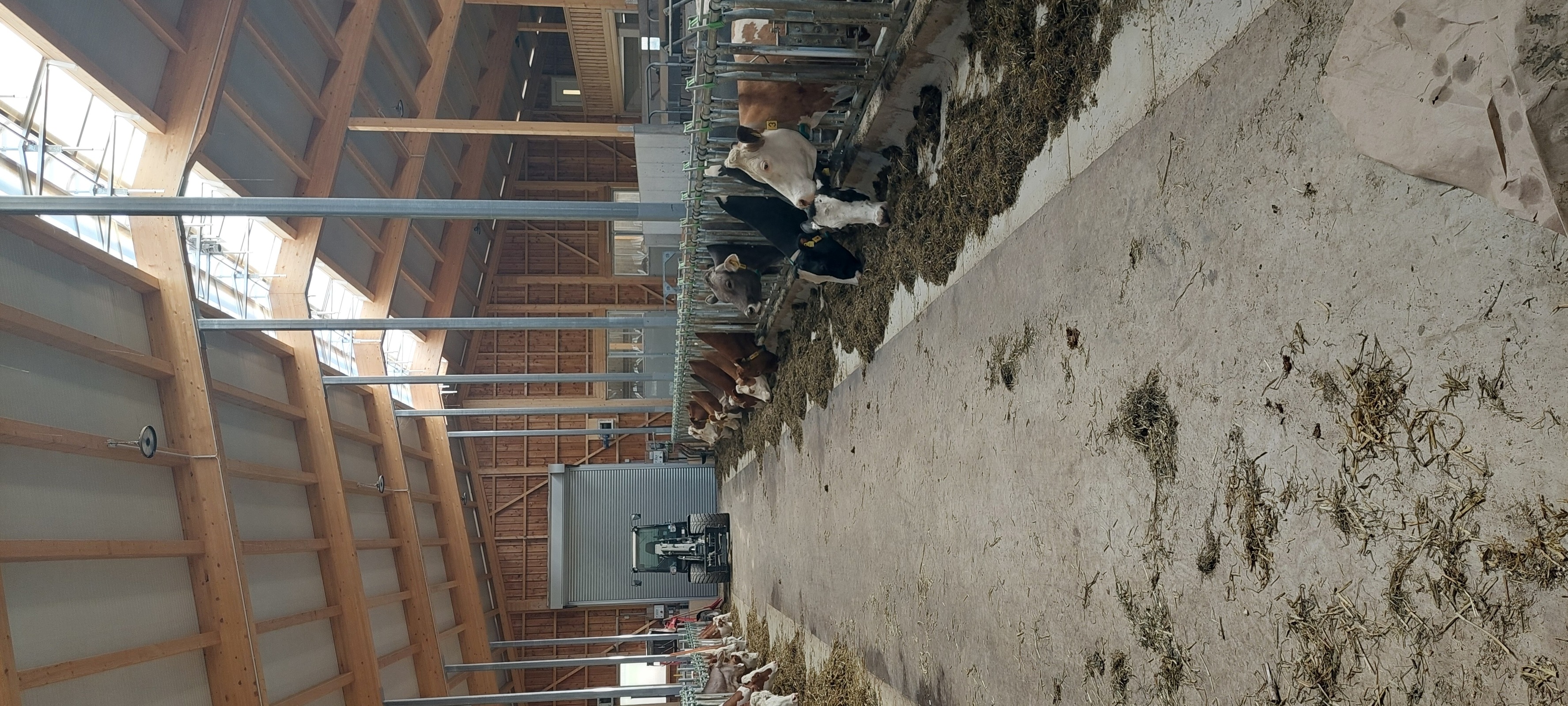 Stable tour through our new animal welfare barn