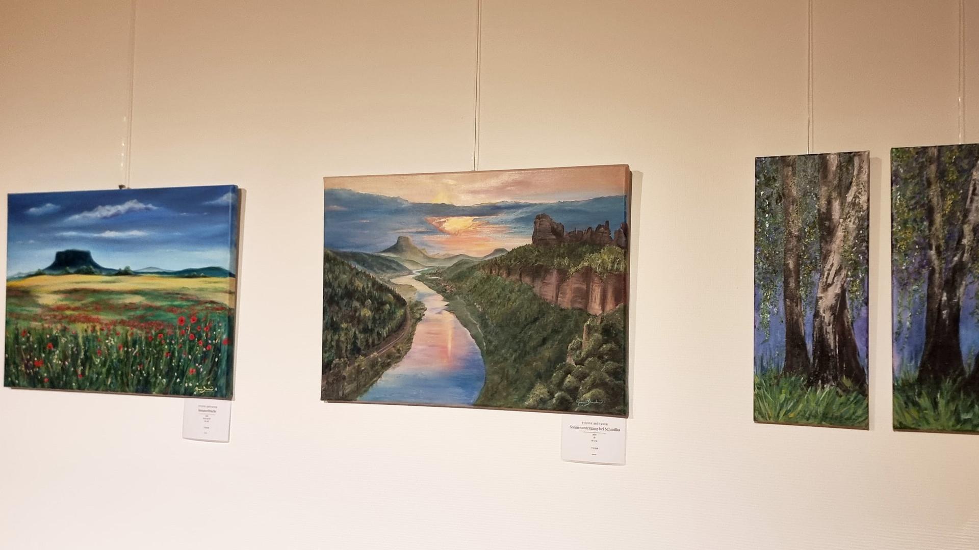 Wilde Schönheit: Eine Ausstellung der Sächsischen Schweiz