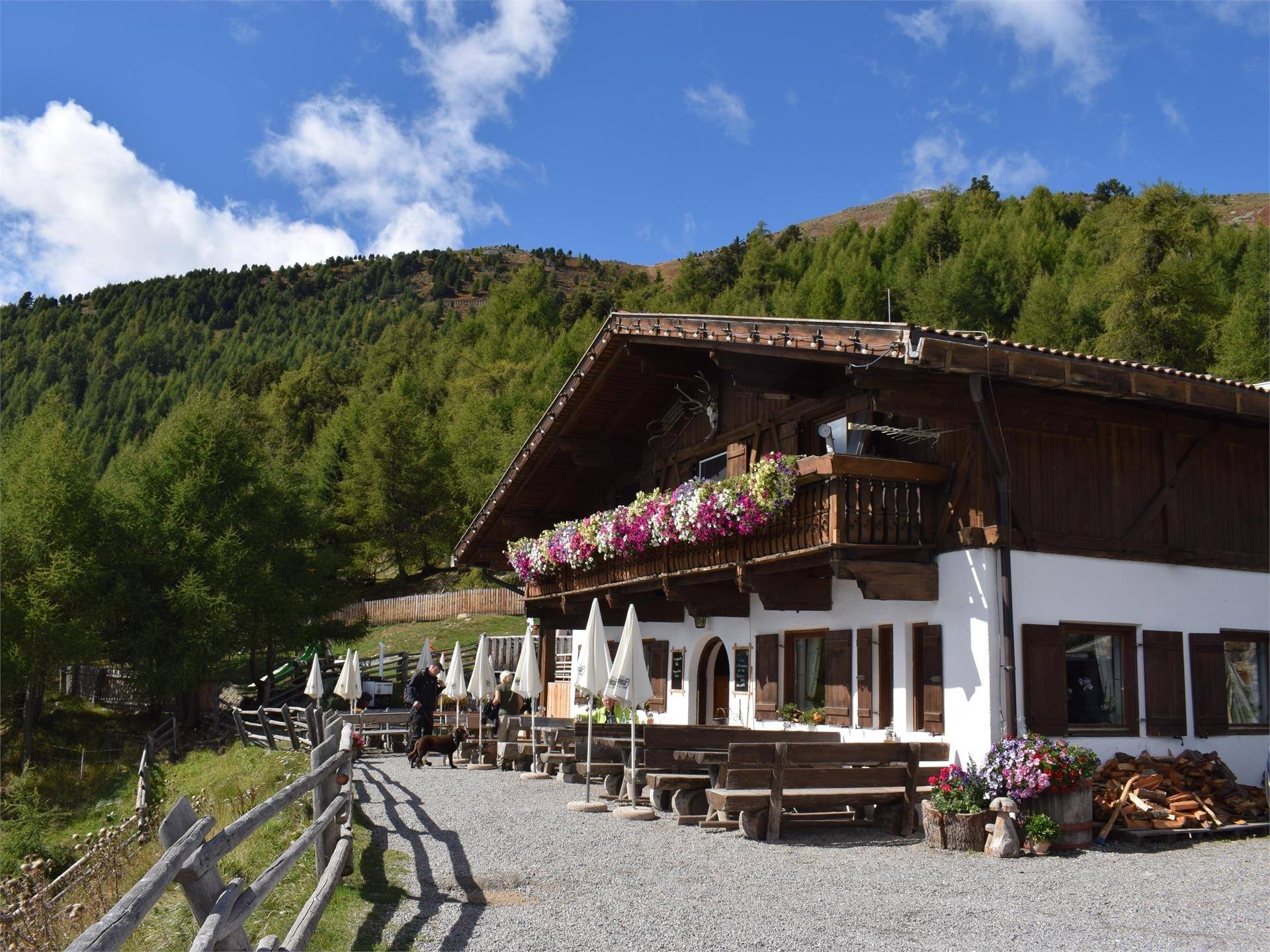 Rescher Alm