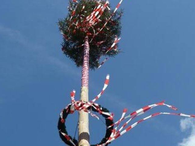 Maibaum umlegen 21.06.2025 ab 14.00 Uhr