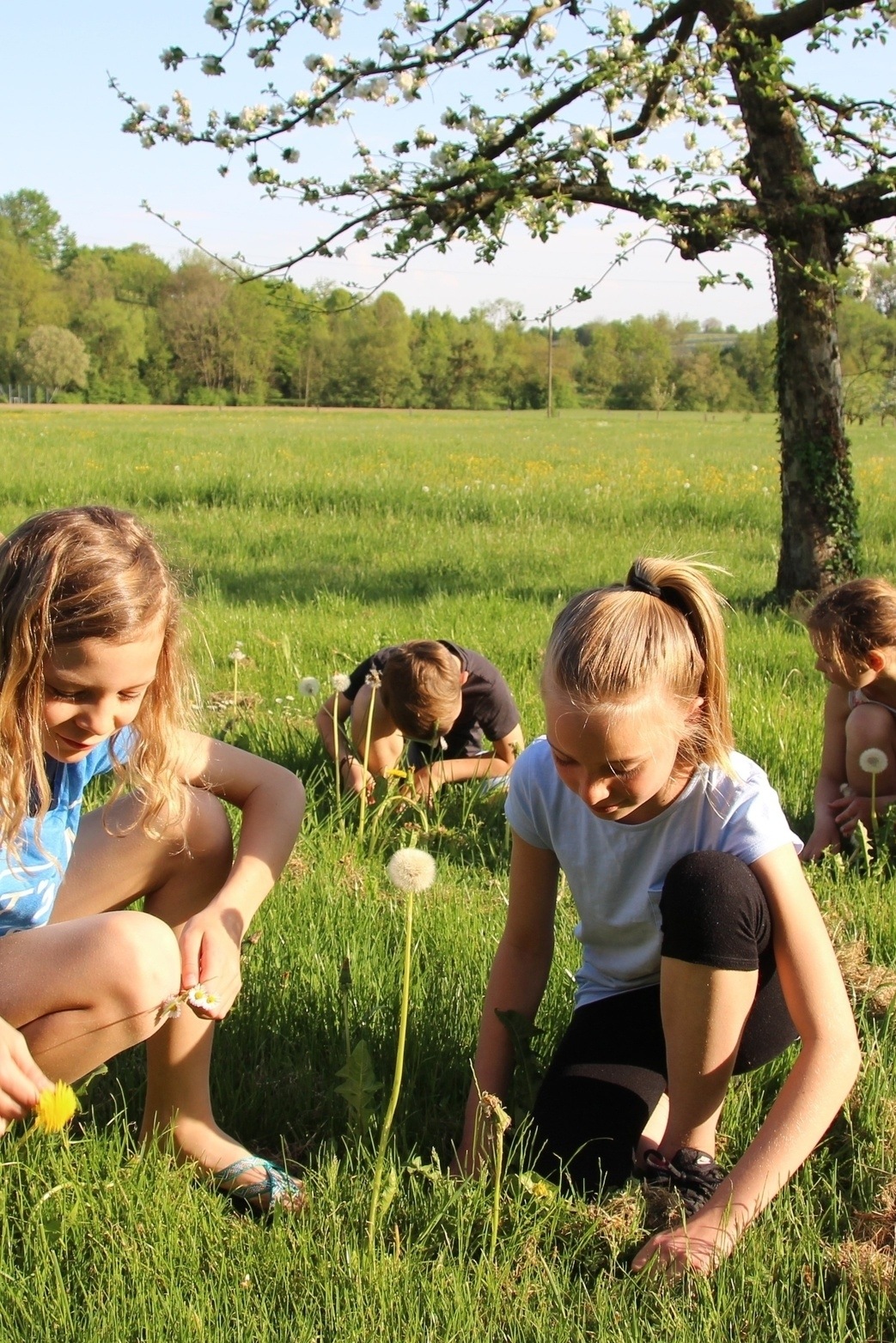 Kinderbetreuung - Bastelideen aus der Natur