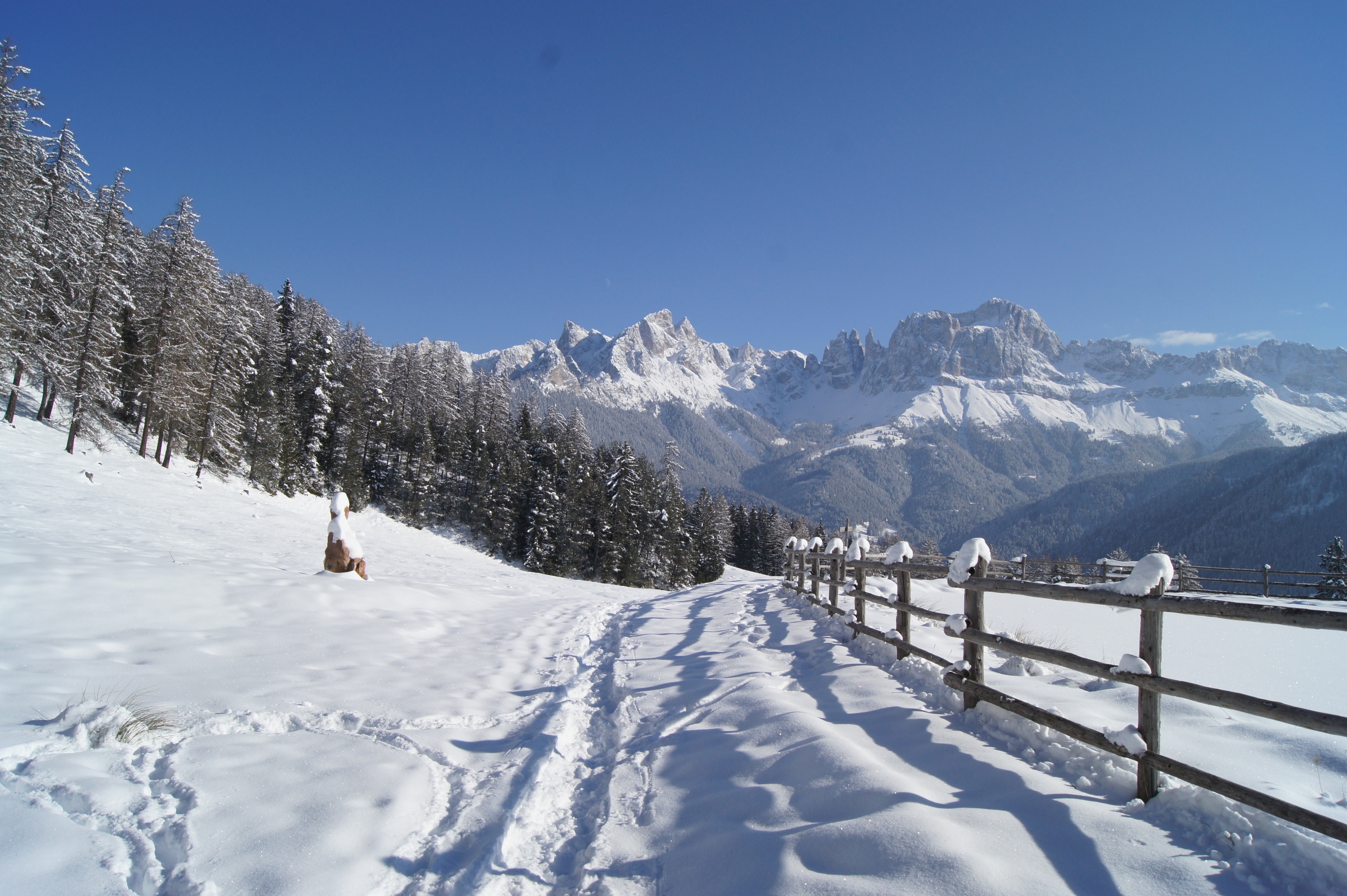 Winterwanderung zur St. Sebastian Kapelle & zum Wuhnleger Weiher