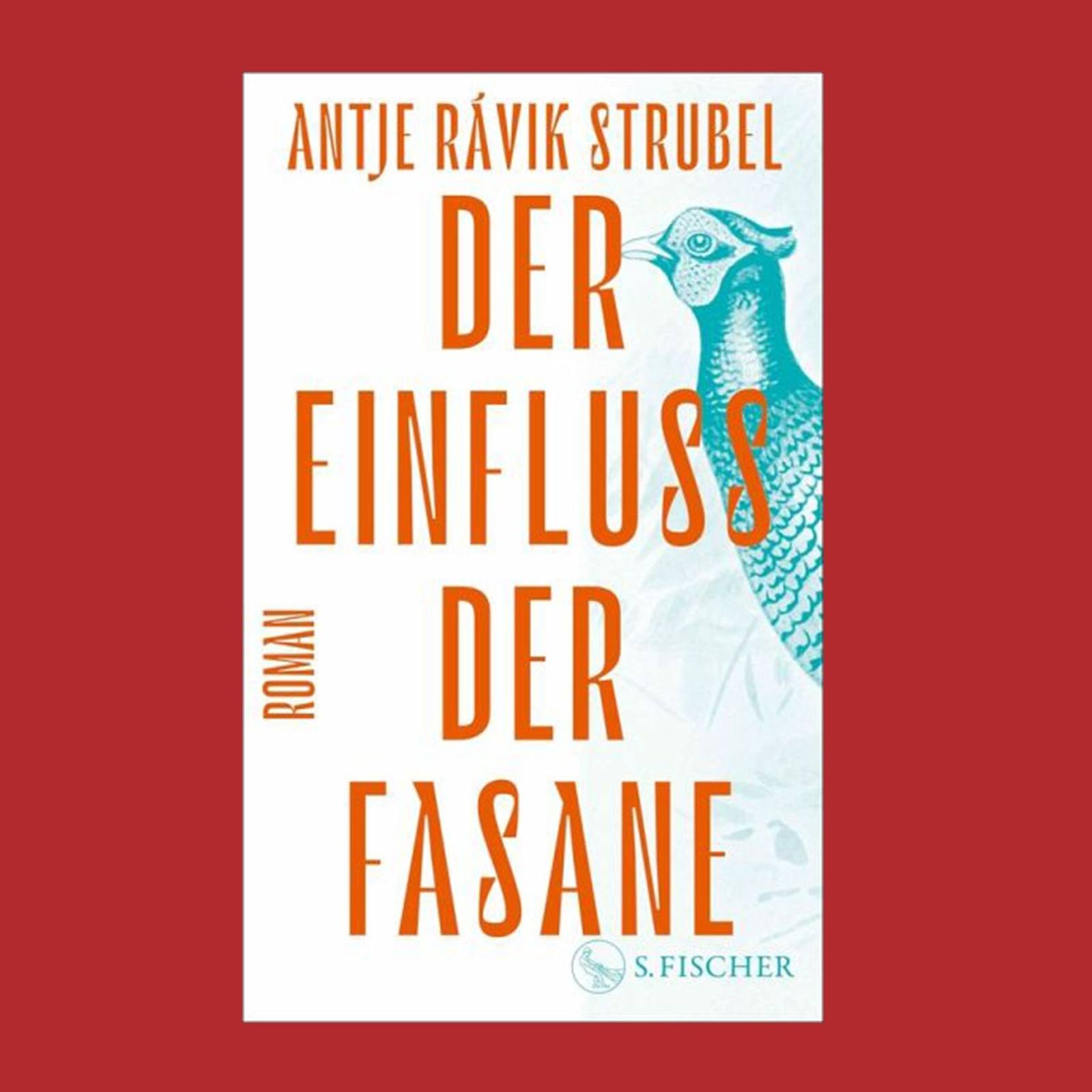 Schöne Bücher im Kloster Chorin – Sommerlese