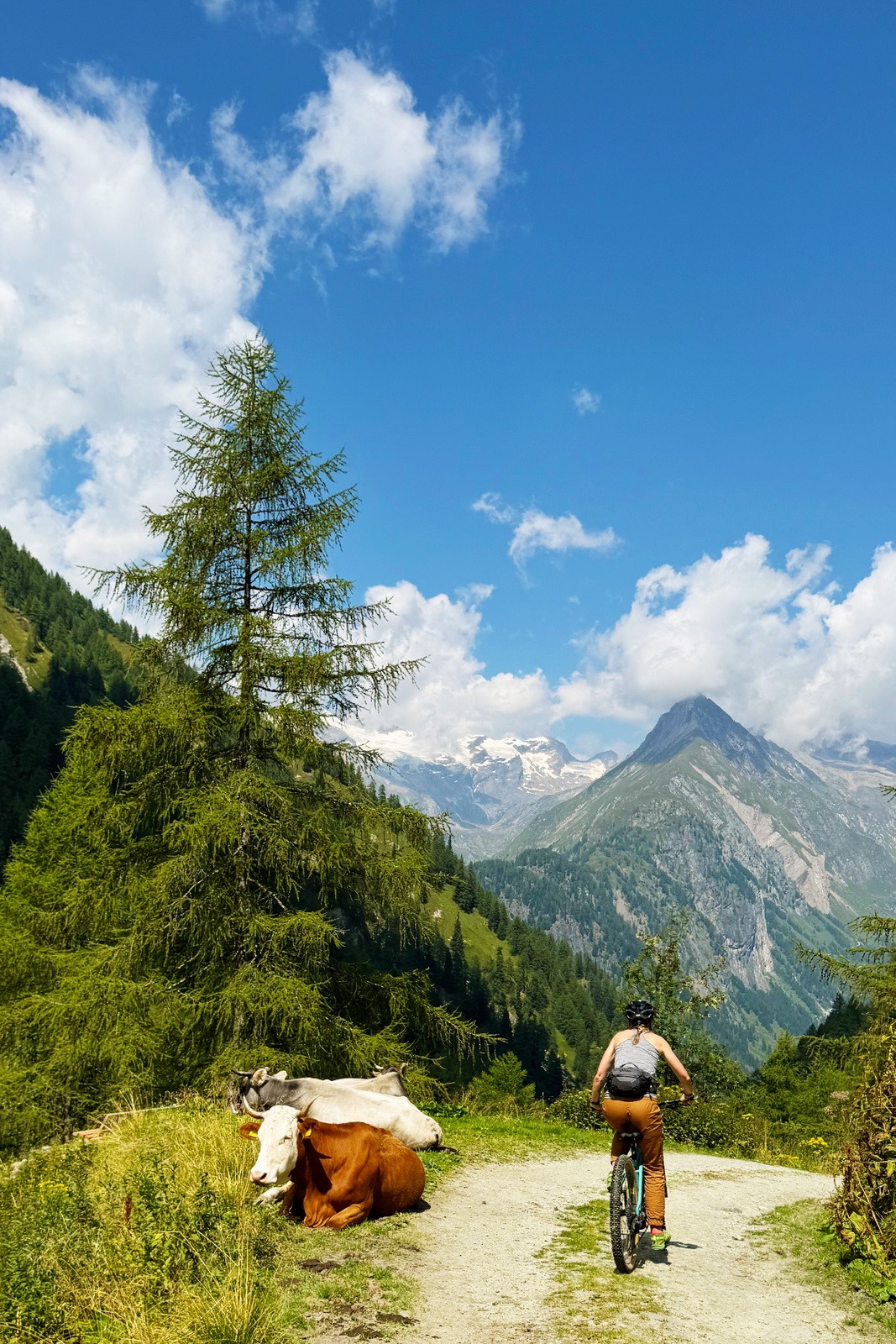E-BIKE-TOUR zur Lasnitzenhütte - Almkrapfen & Venedigerblick