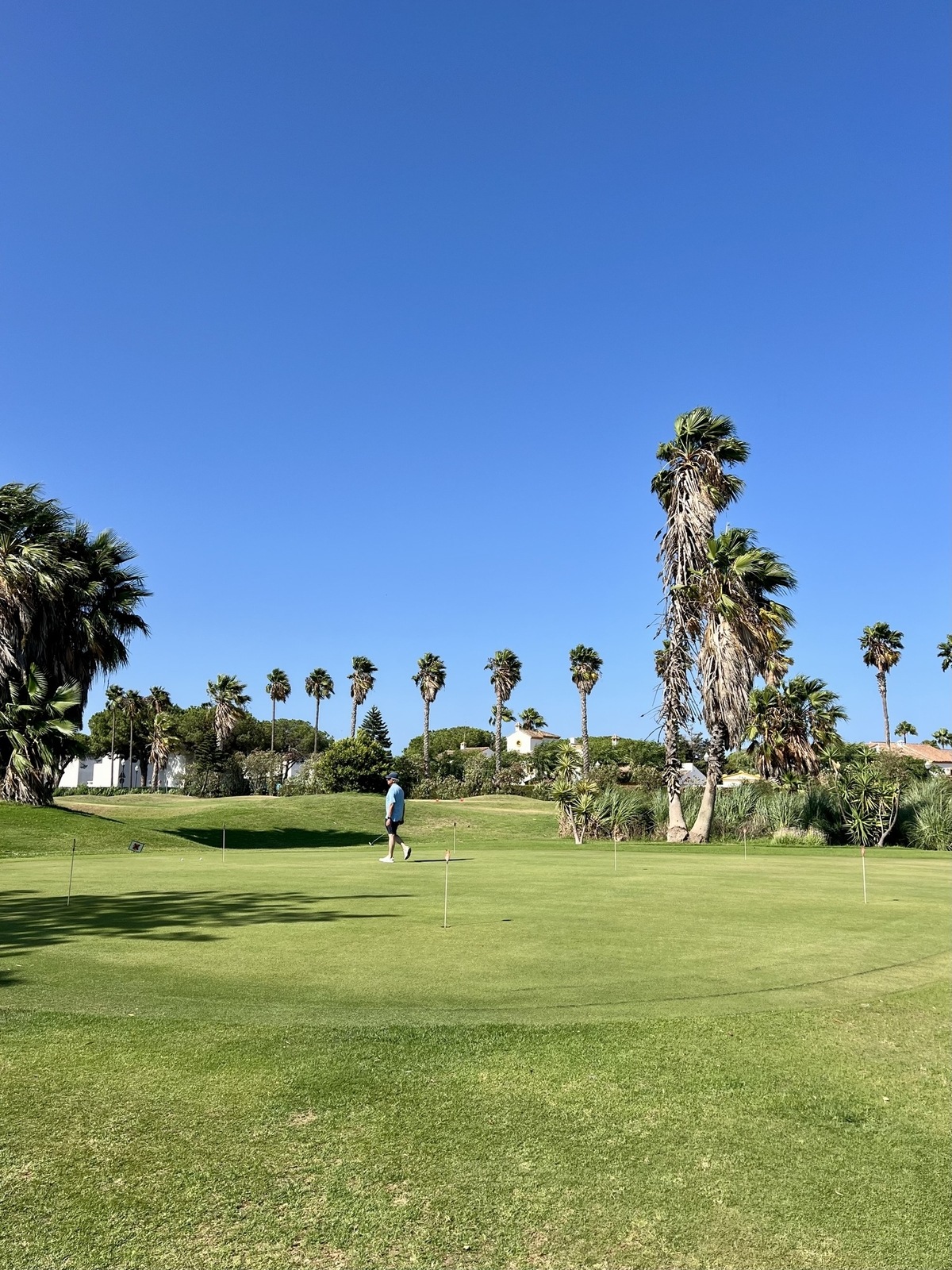 Golfing - tee off with a sea view
