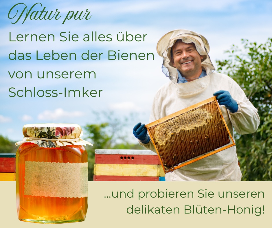 Besuch beim Bienenstock + Honigverkostung​
