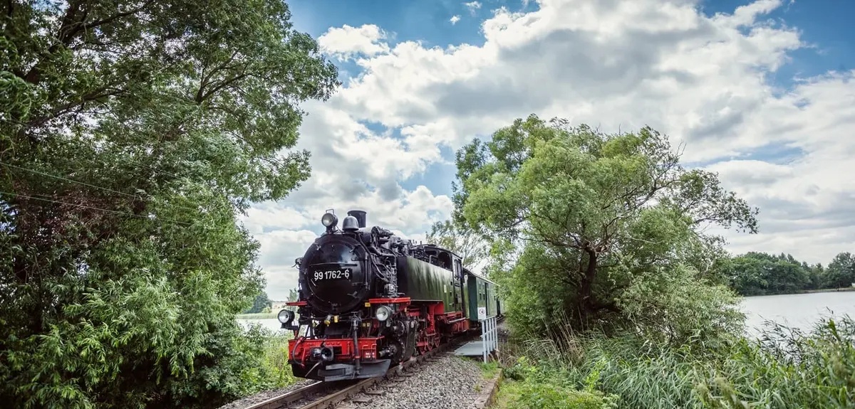Schiene frei für den Federweißerzug! Verkostung in der Schmalspurbahn Radebeul - Moritzburg