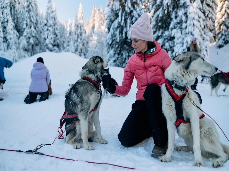 Husky experience day: the magic of huskies in Klaus Äuele
