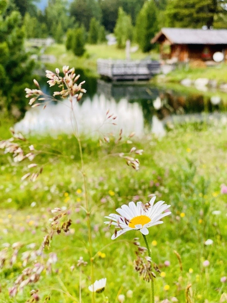 Griersee sports hike