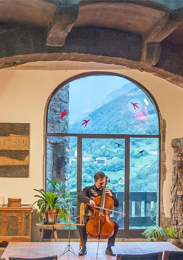 Fountain Castle Castel Cello