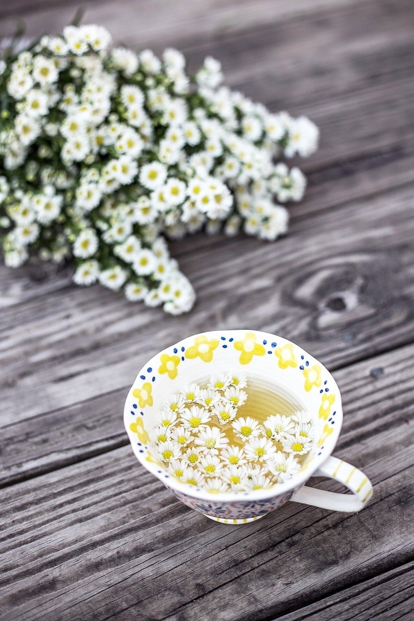 🌿 Medicinal herbs - decoction - infusion