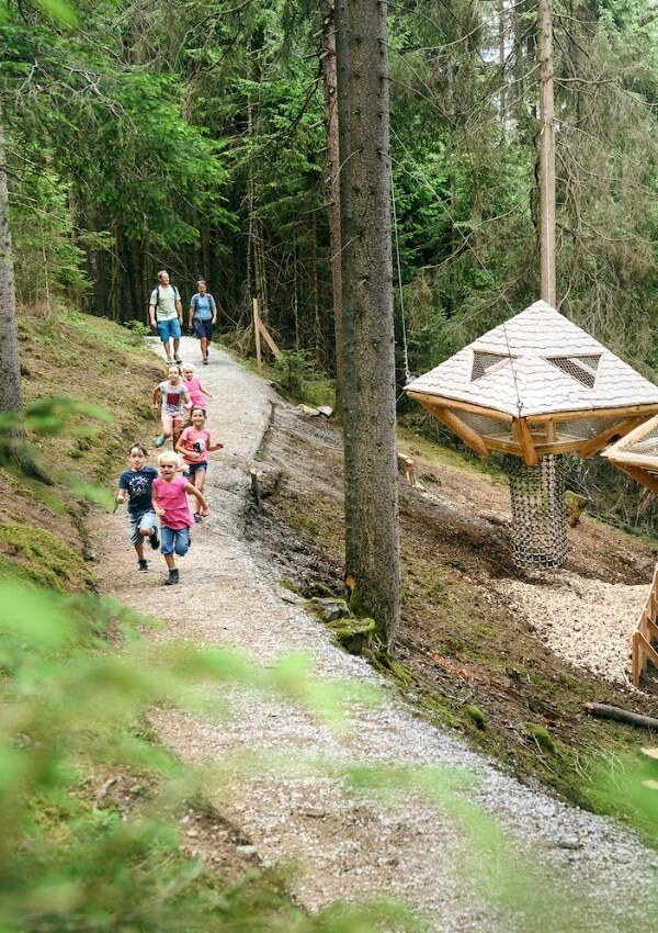 Baumhausweg - Wanderung - Tagestipp