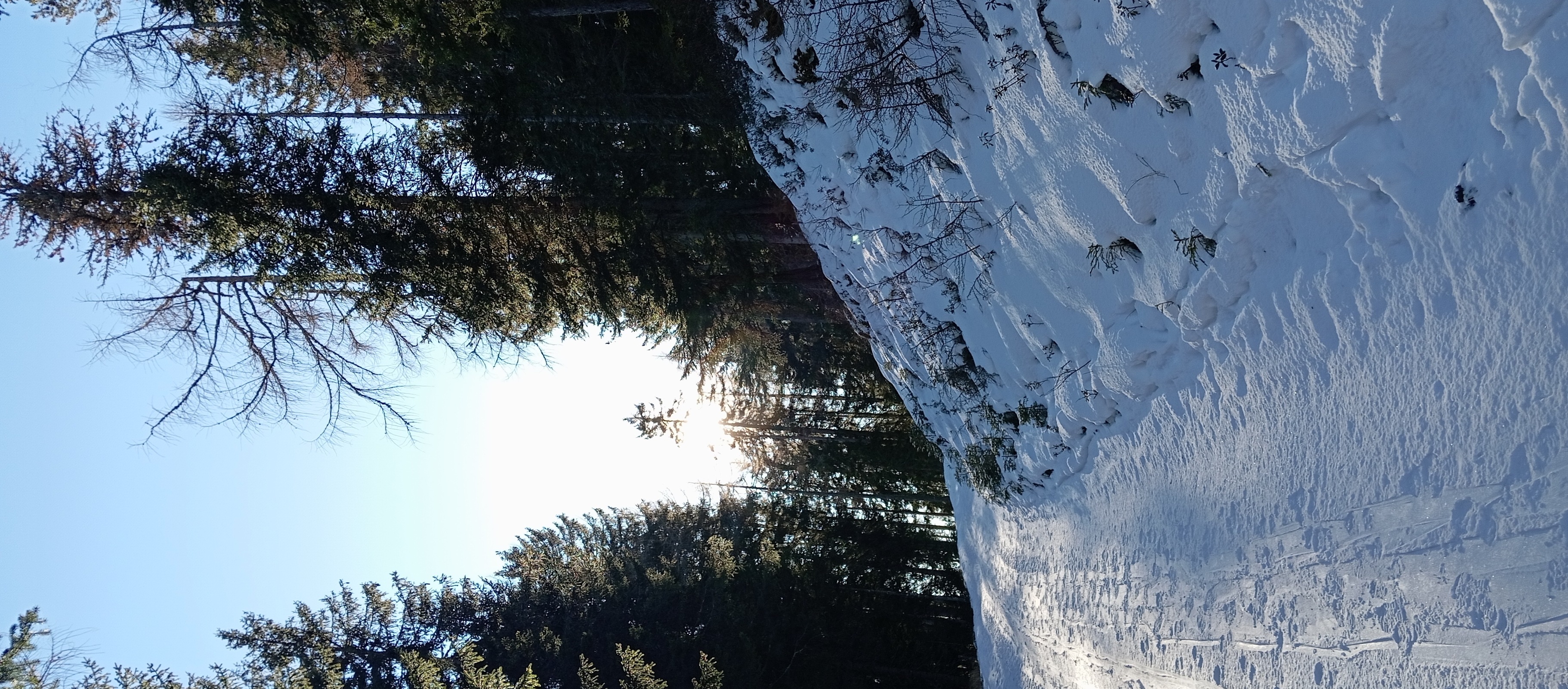Hike | Bettelsteig*   