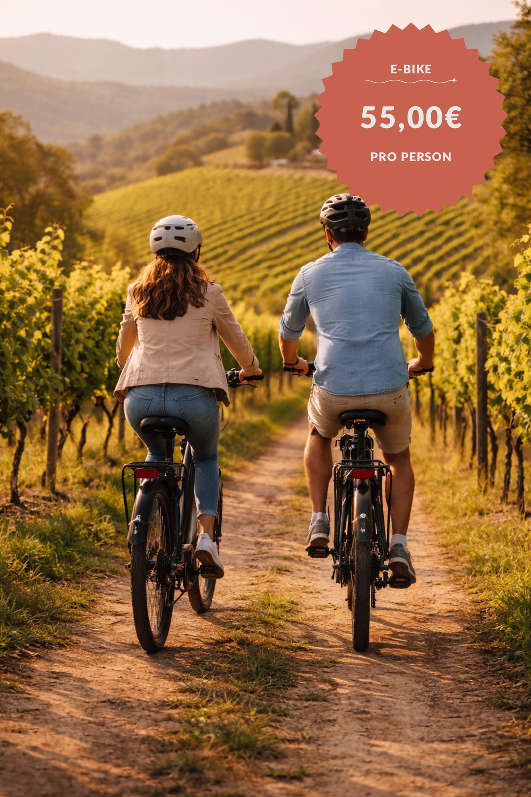 Premium e-bikes