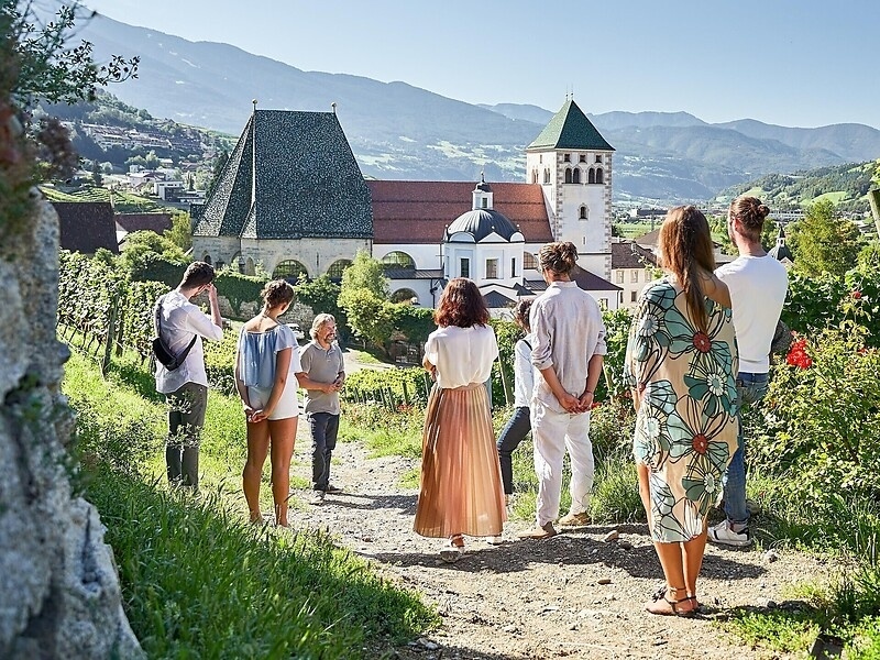 Tour dei vigneti con degustazione - Scoprite 900 anni di cultura del vino