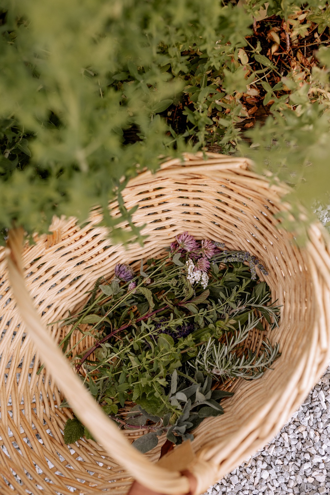 Herbal cuisine: make your own oxymel
