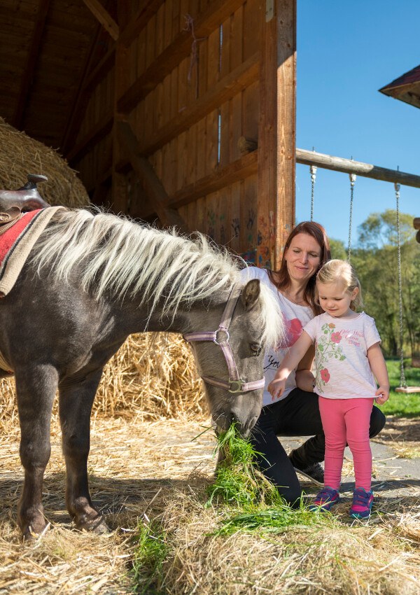 Ponyschnuppern