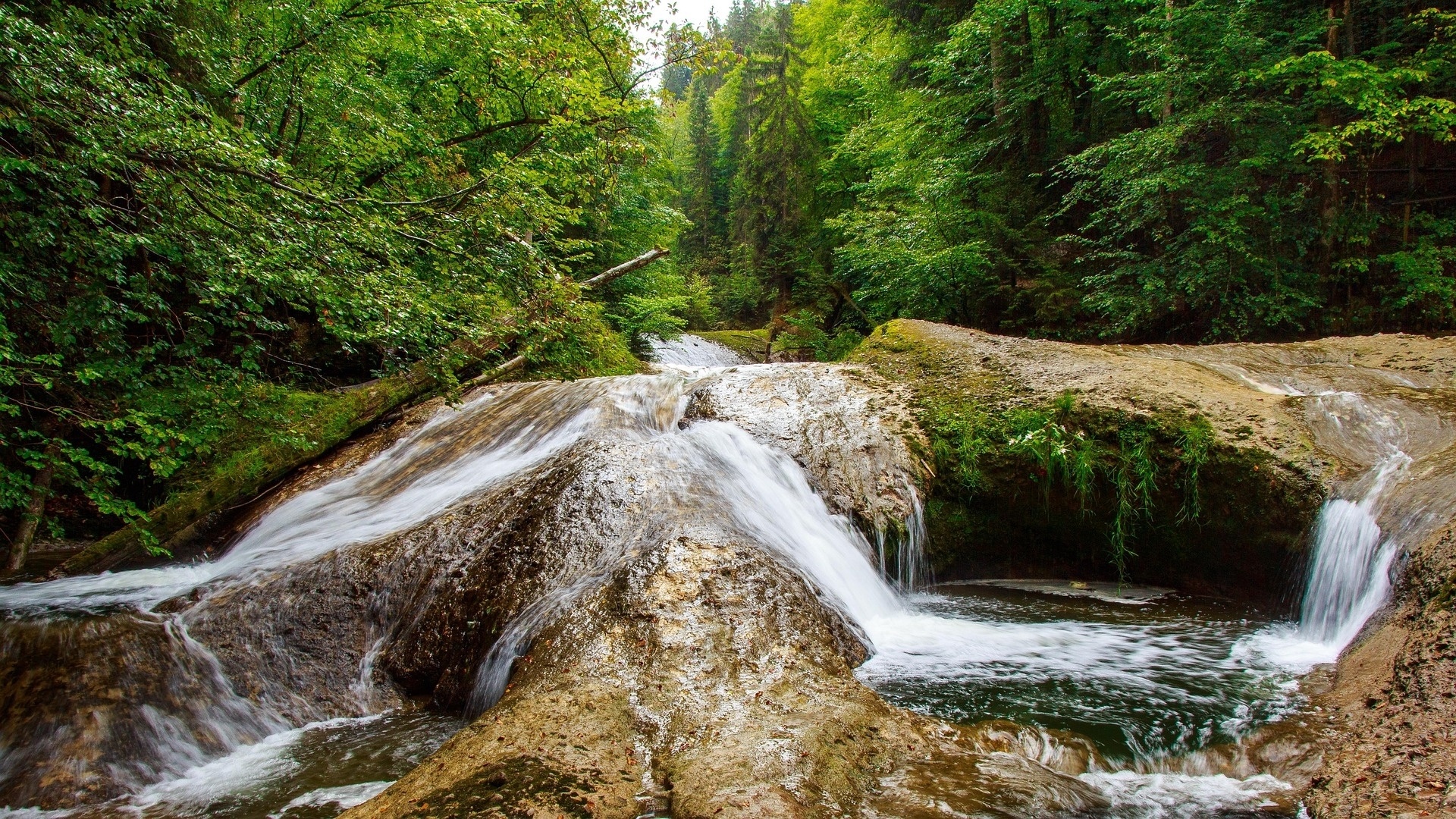Wandern im Eistobel