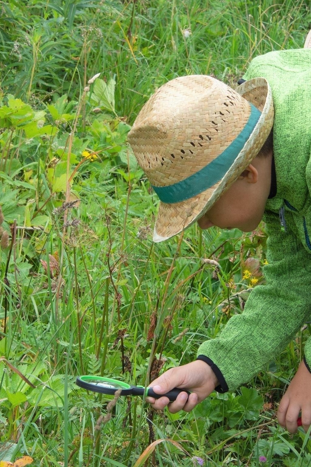 BERGaktiv the little nature detective