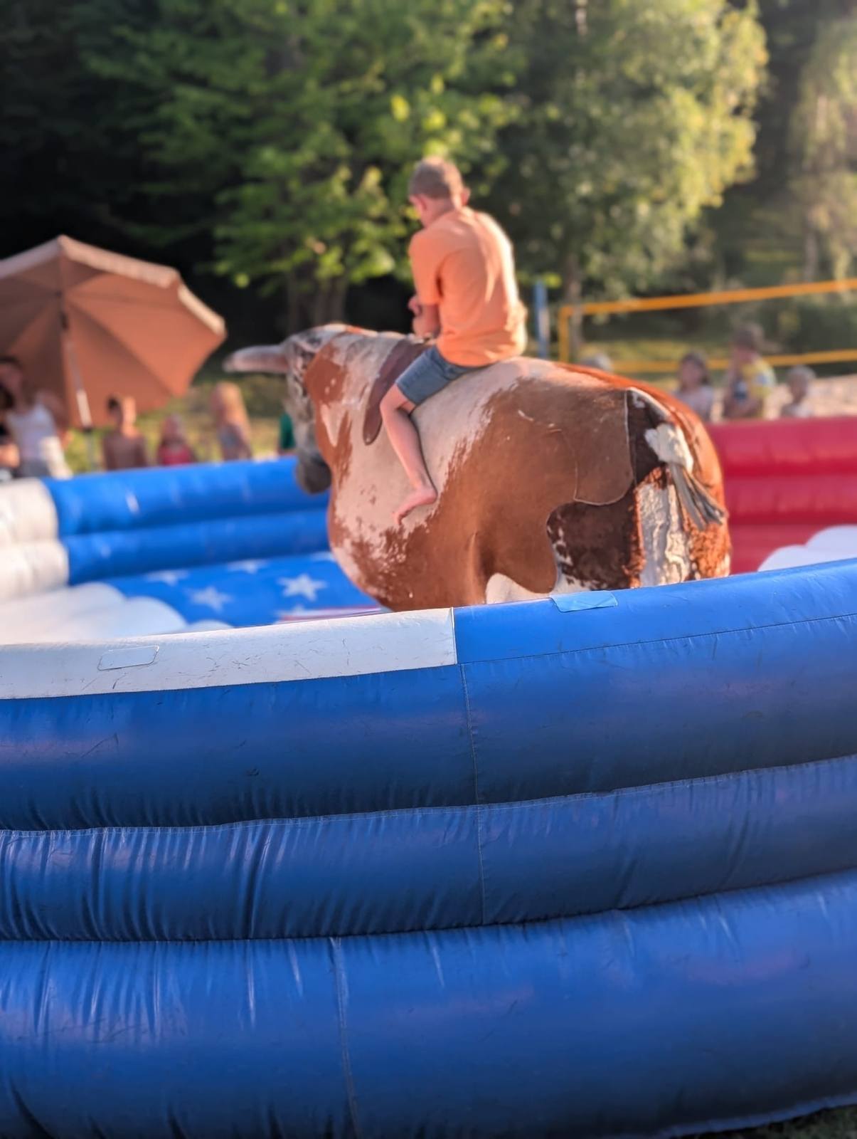 Bullriding - Rodeo fun!