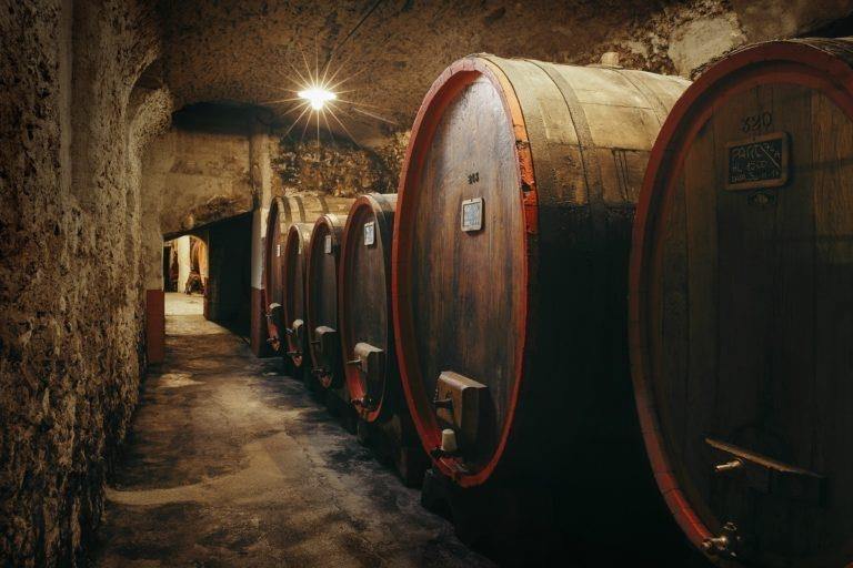 Guided tour of the Braulio Bitter Cellars