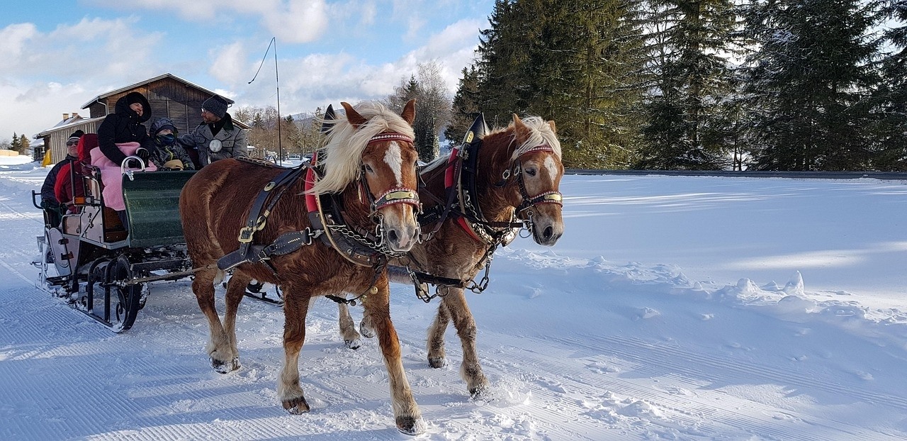 Romantische Fahrt mit der Pferdekutsche