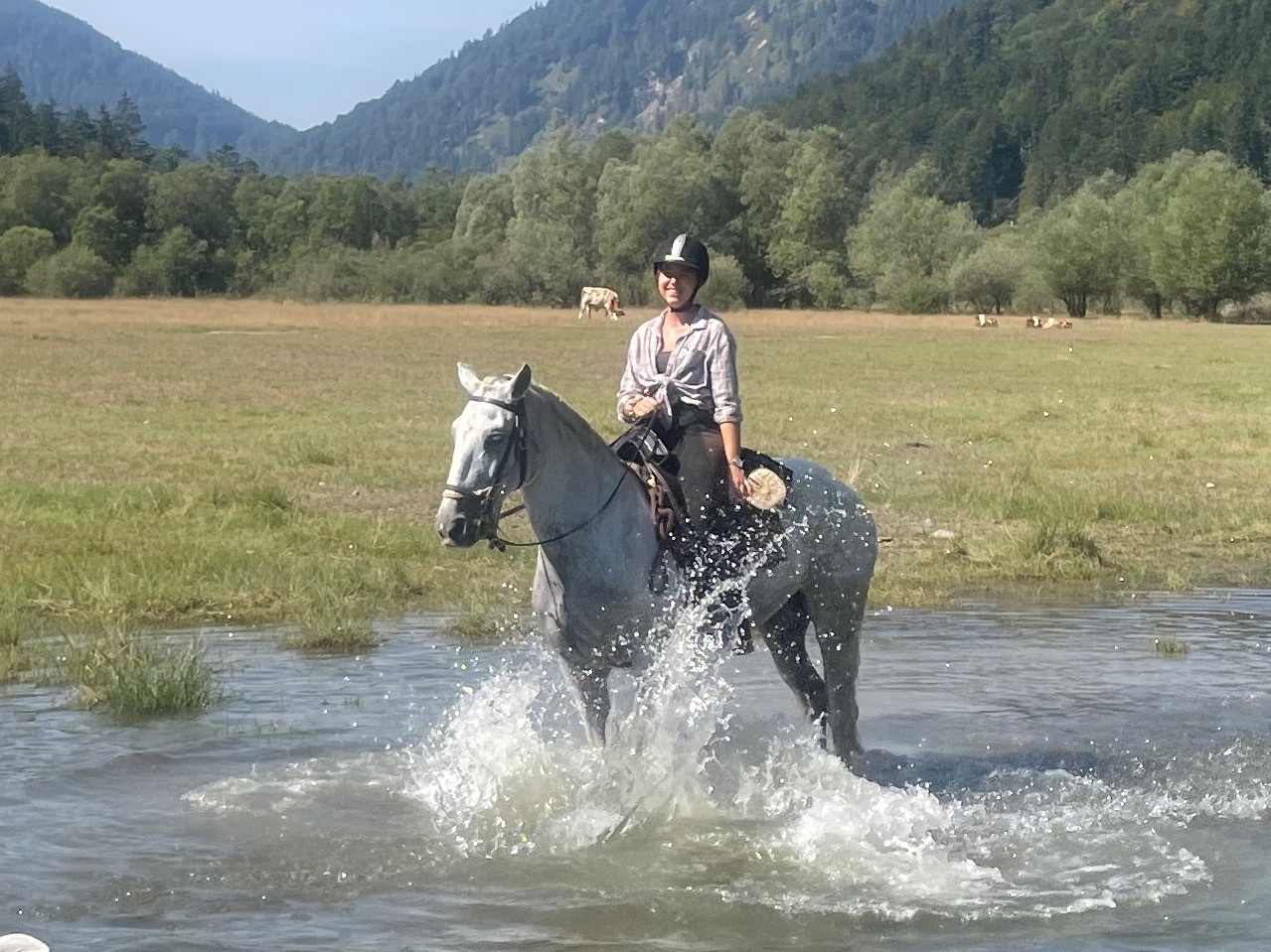 Sternritte & Horsemanshipkurs 2026