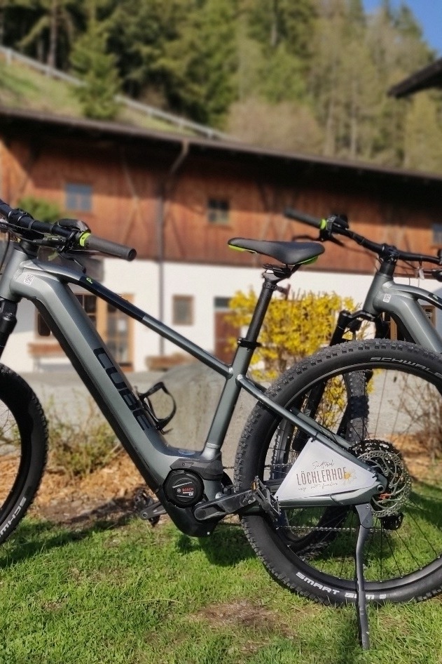 E-bike rental