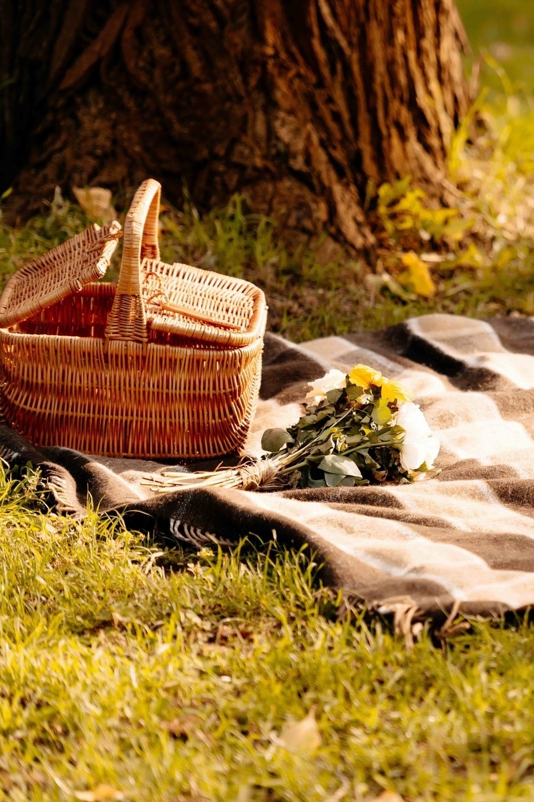 Sonnenuntergangs-Picknick: Genuss im Freien