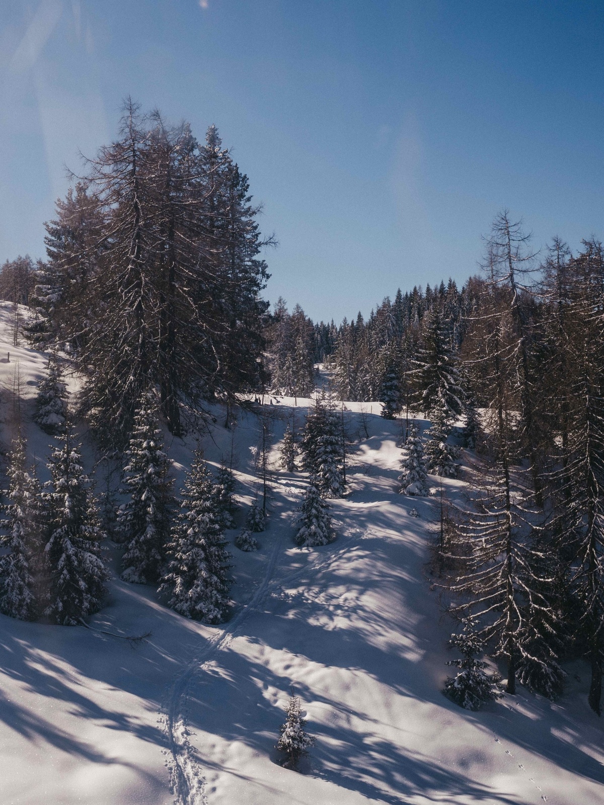 Winterwandern an der Salzach