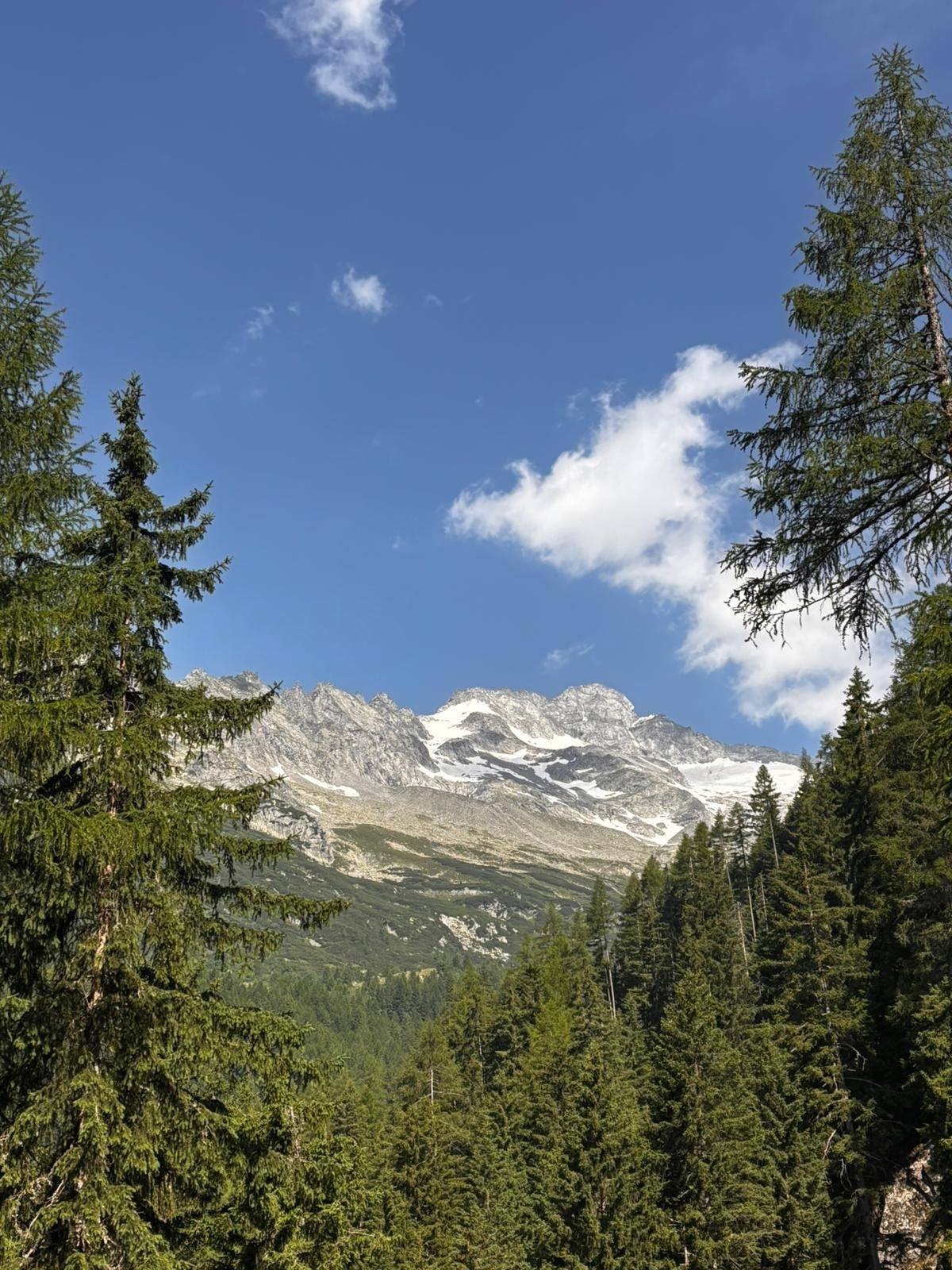Hike | Rieslahner*