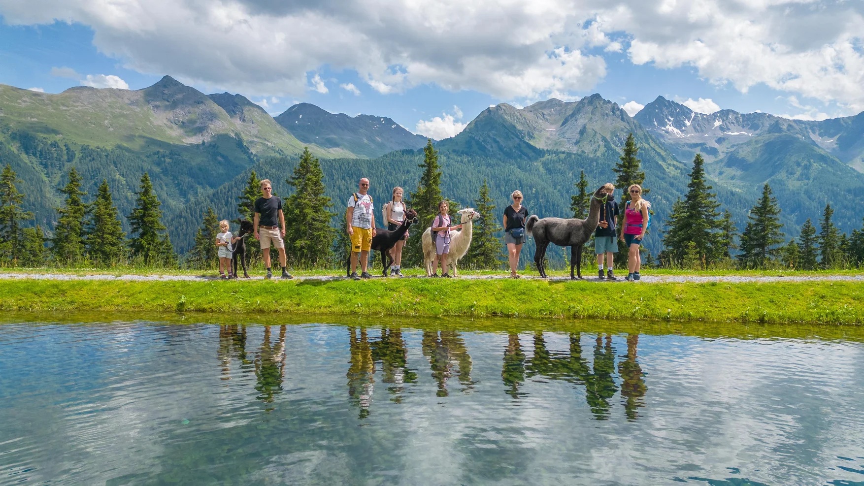 Familienwanderung mit Alpakas & Lama – tierisch leichte Erlebniswanderung