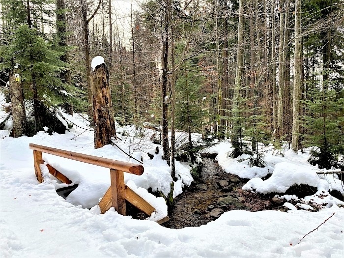 Rundweg Flusskrebs - familienfreundliche Tour über Stock und Stein