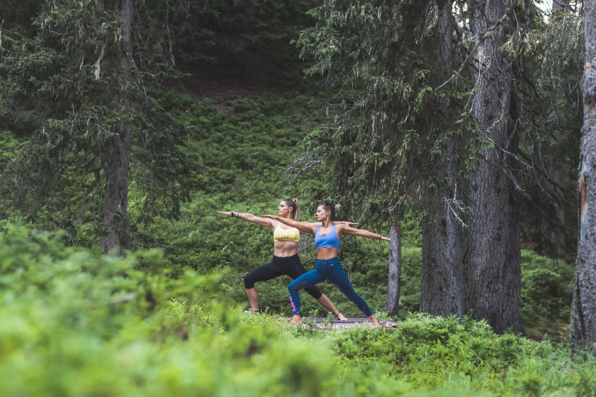Morning forest bathing*