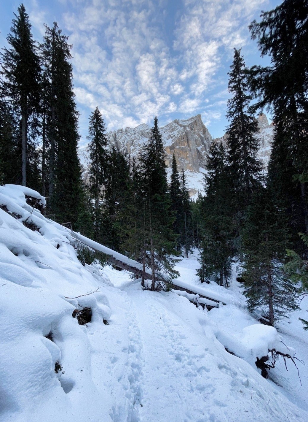 Schneeschuh-
wanderung
im Latemargebiet
