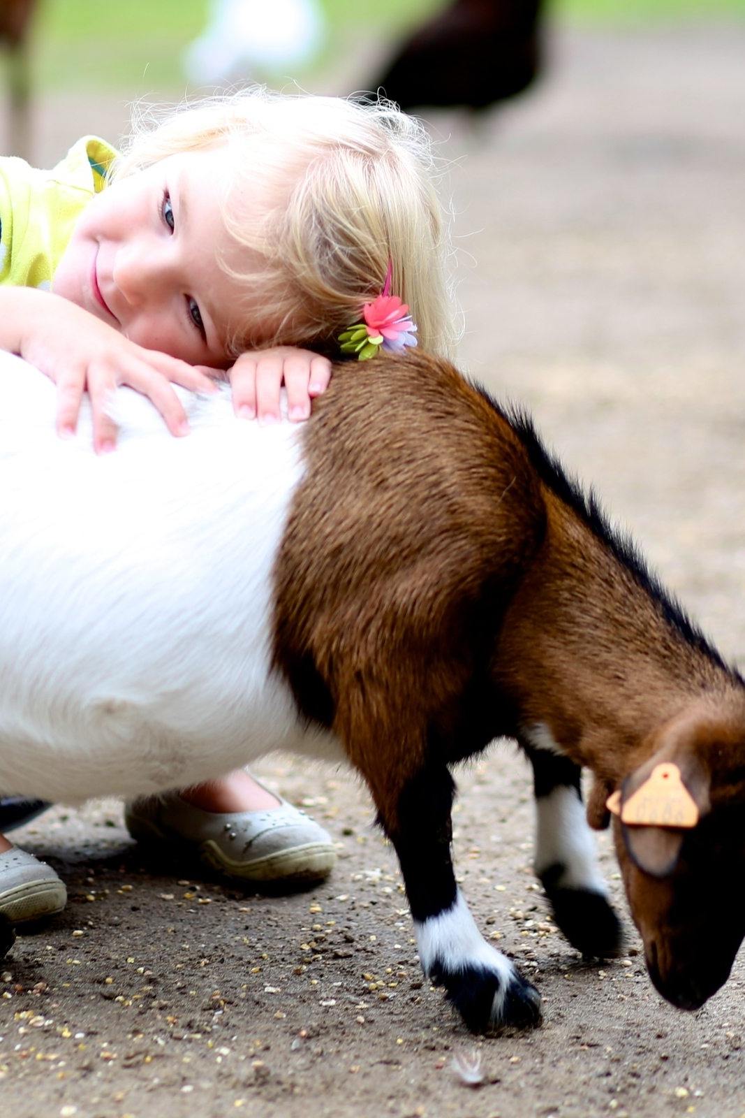 Tiere füttern