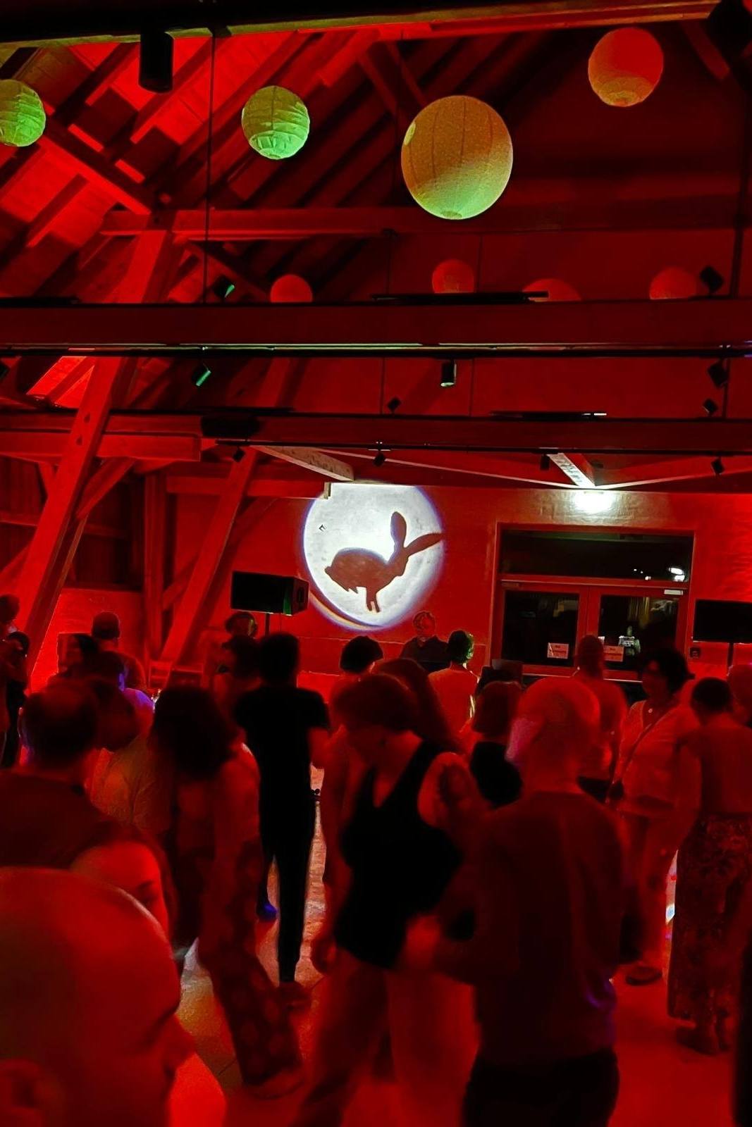 Hasen-Party