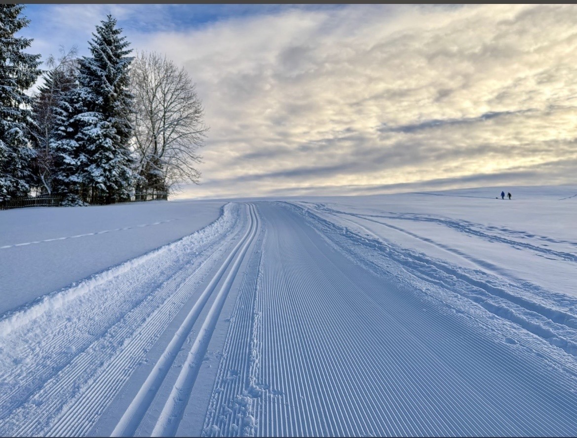 Ski experience in Holzhau: Winter fun for the whole family