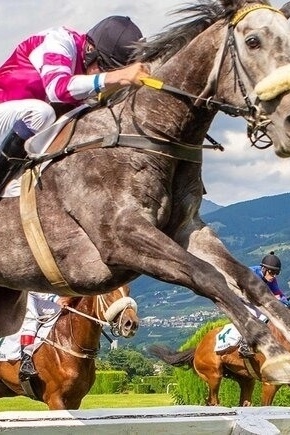 13th Burggräfler Palio